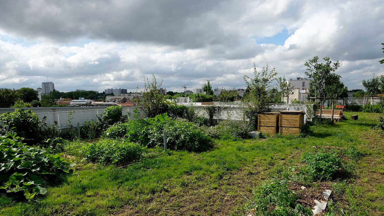 Une des deux toitures jardin (300 m2) au Jardin divers à Montreuil