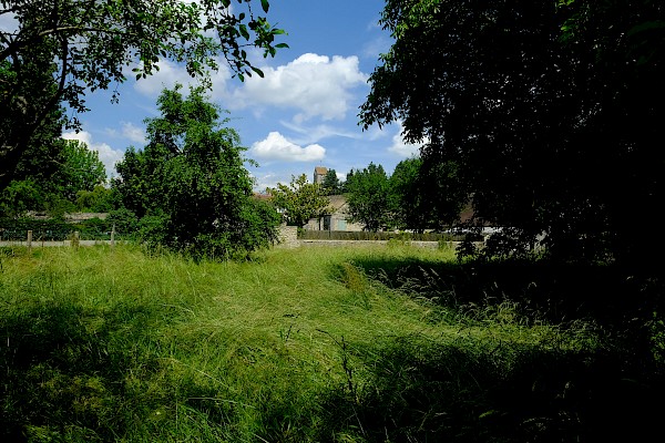 Agro habitat participatif à Soisy-sur-Ecole