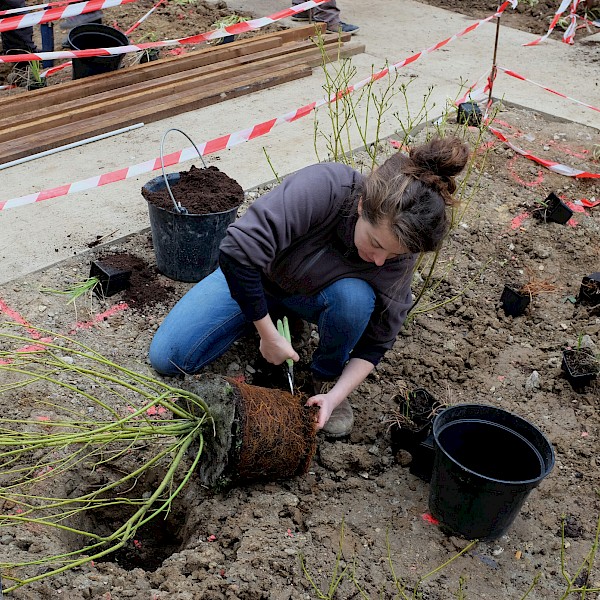 Le jardin divers