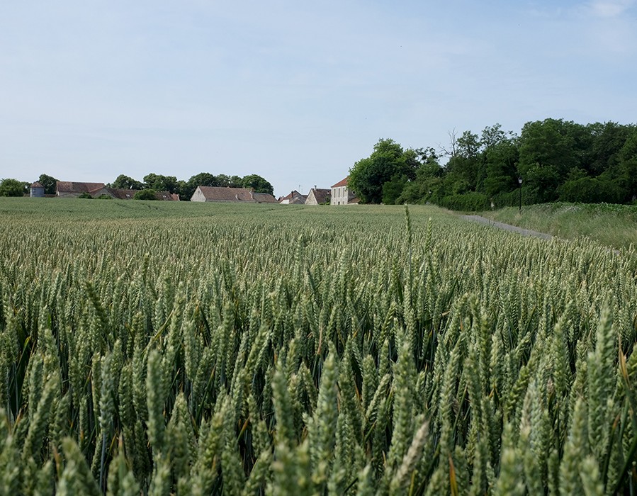 Nouveau projet d’agro-habitat participatif